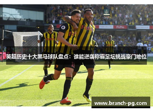 英超历史十大黑马球队盘点:谁能逆袭称霸足坛挑战豪门地位 英超历史十大黑马球队盘点:谁能逆袭称霸足坛挑战豪门地位