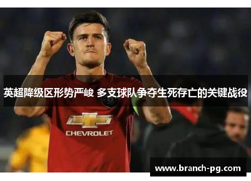 英超降级区形势严峻 多支球队争夺生死存亡的关键战役 英超降级区形势严峻 多支球队争夺生死存亡的关键战役