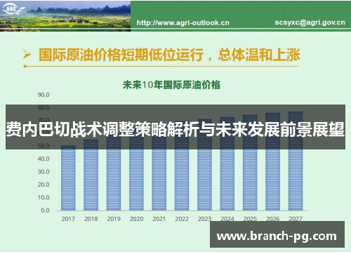 费内巴切战术调整策略解析与未来发展前景展望 费内巴切战术调整策略解析与未来发展前景展望