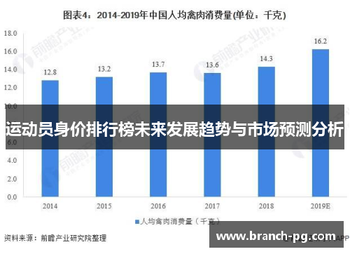 运动员身价排行榜未来发展趋势与市场预测分析 运动员身价排行榜未来发展趋势与市场预测分析