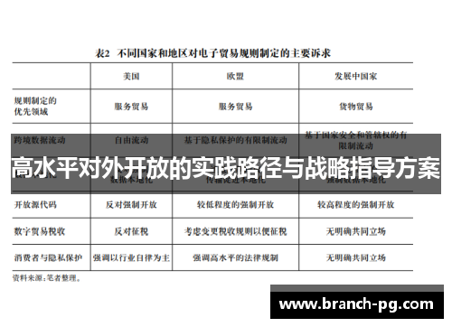 高水平对外开放的实践路径与战略指导方案 高水平对外开放的实践路径与战略指导方案