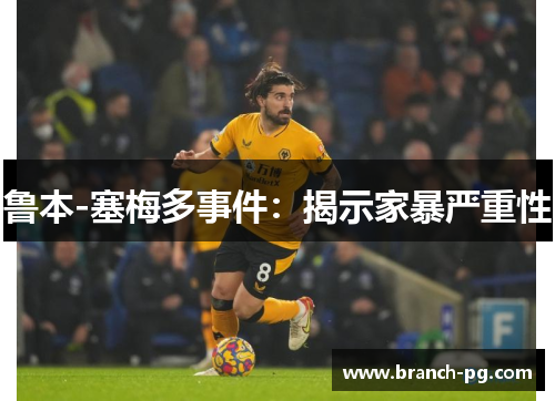 鲁本-塞梅多事件:揭示家暴严重性 鲁本-塞梅多事件:揭示家暴严重性