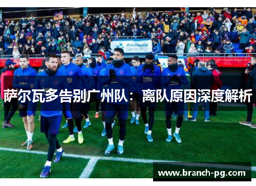 萨尔瓦多告别广州队:离队原因深度解析 萨尔瓦多告别广州队:离队原因深度解析