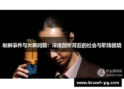 赵鹏事件与欠薪问题：深度剖析背后的社会与职场困境