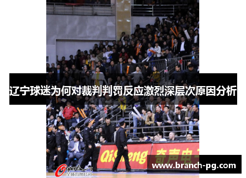 辽宁球迷为何对裁判判罚反应激烈深层次原因分析