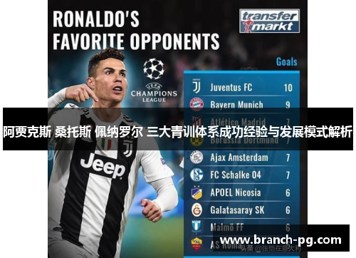 阿贾克斯 桑托斯 佩纳罗尔 三大青训体系成功经验与发展模式解析 阿贾克斯 桑托斯 佩纳罗尔 三大青训体系成功经验与发展模式解析