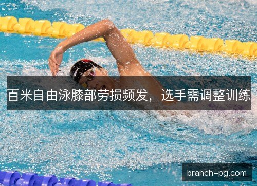 百米自由泳膝部劳损频发，选手需调整训练